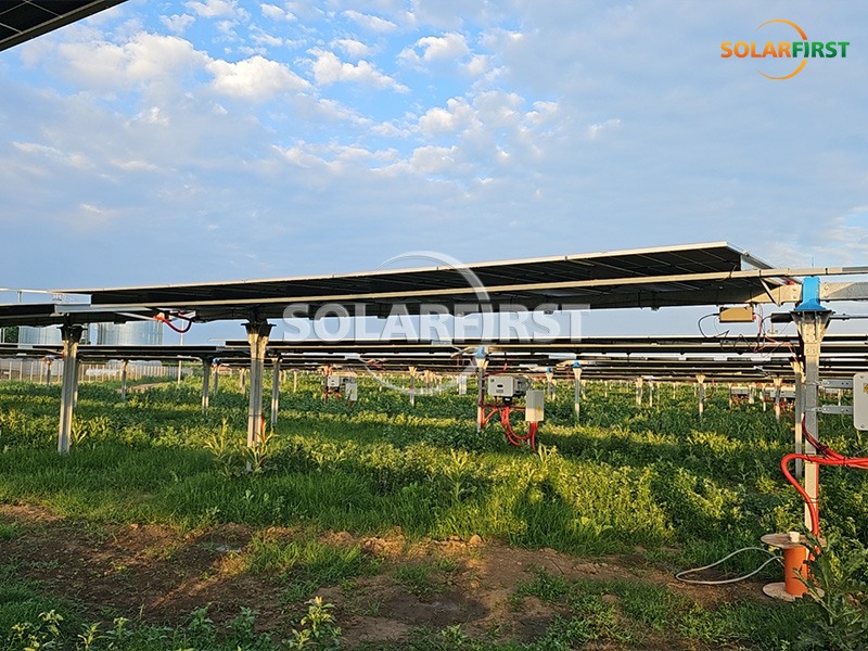 20MWp Flat Single-Axis Tracking in Romania